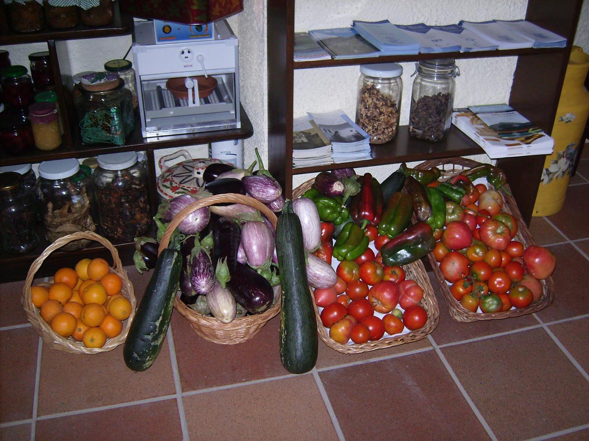 Masia Can Felip B&B Llinars del Vallès Kültér fotó