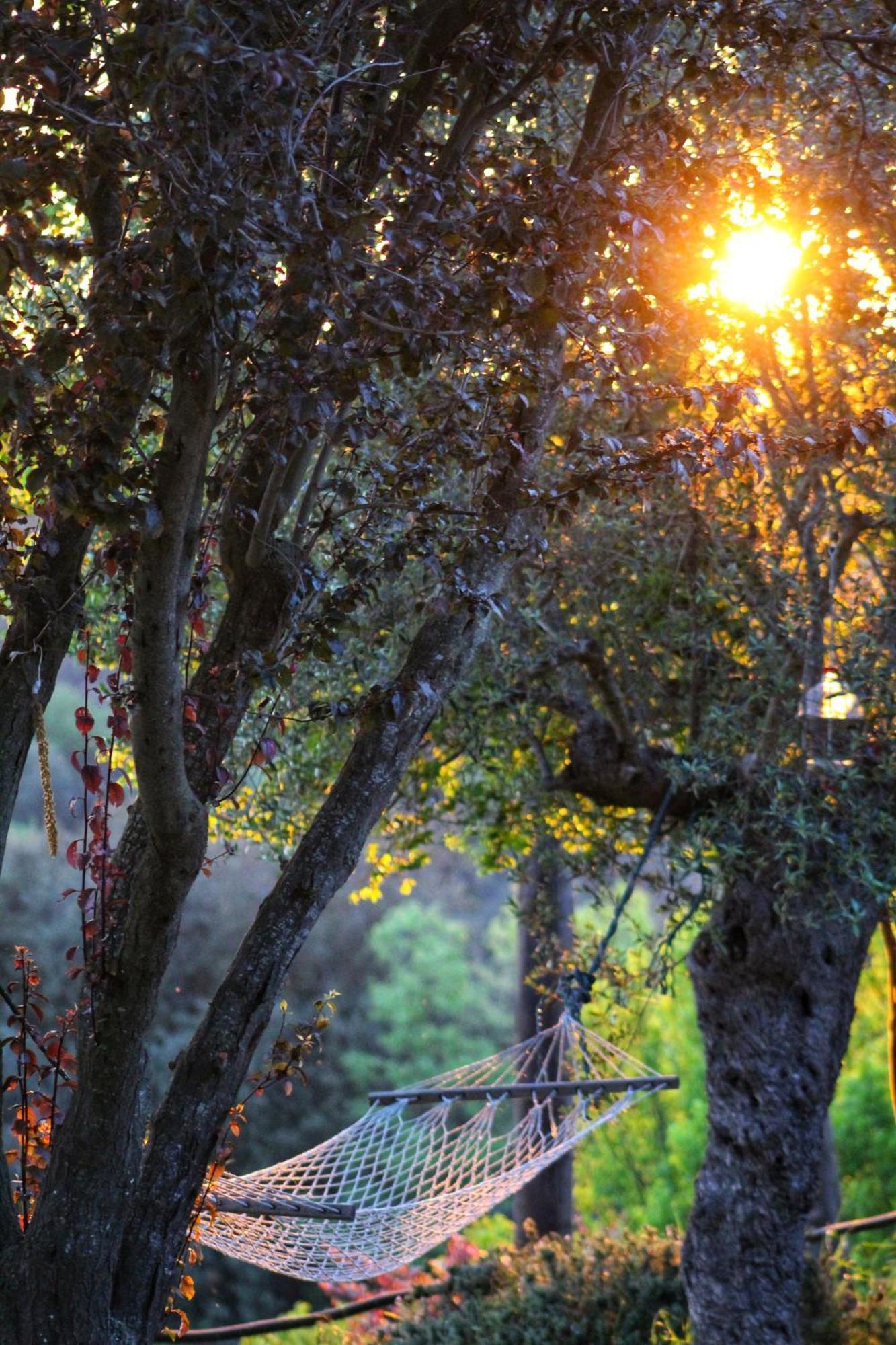 Masia Can Felip B&B Llinars del Vallès Kültér fotó