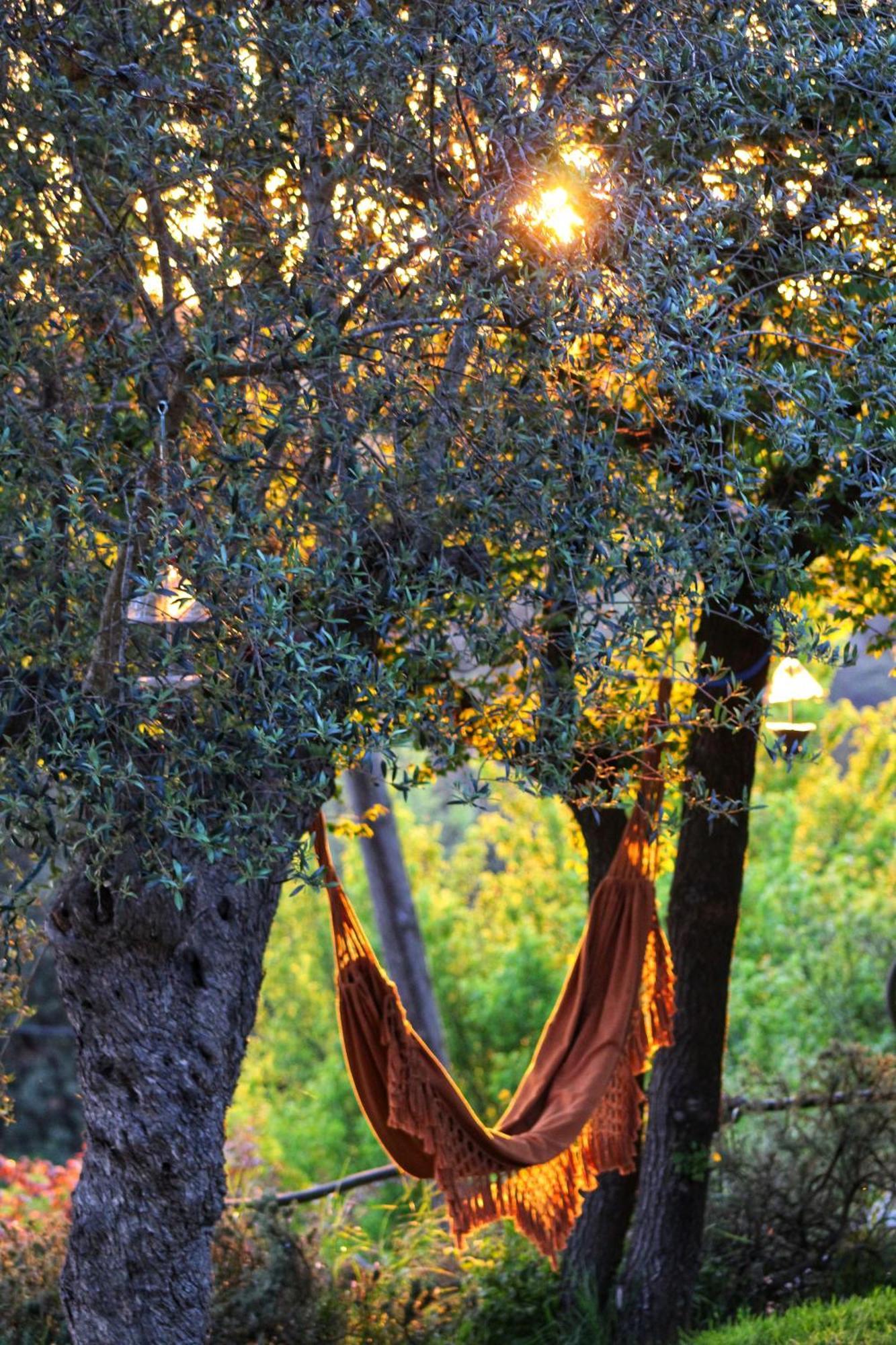 Masia Can Felip B&B Llinars del Vallès Kültér fotó